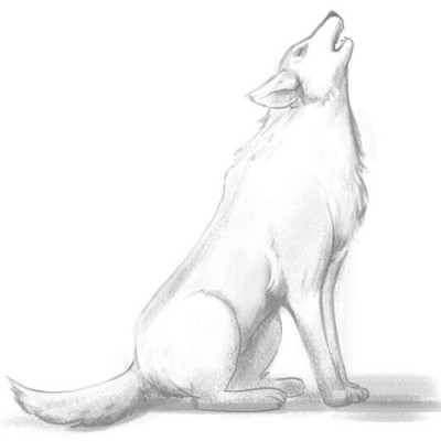 Wolf challenge  | Melada | Digital Drawing | PENUP