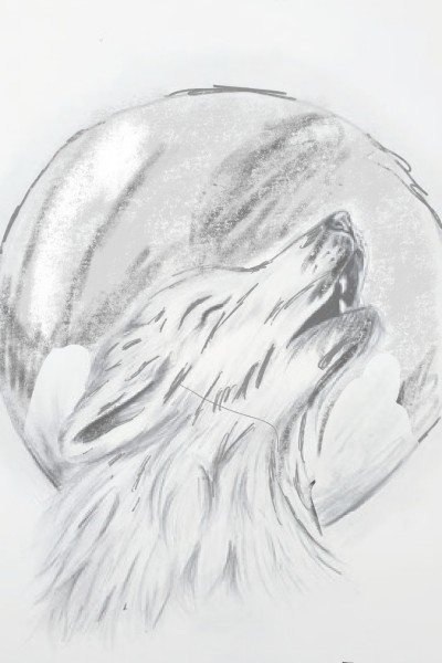 wolf | m-fan.fp.artist | Digital Drawing | PENUP