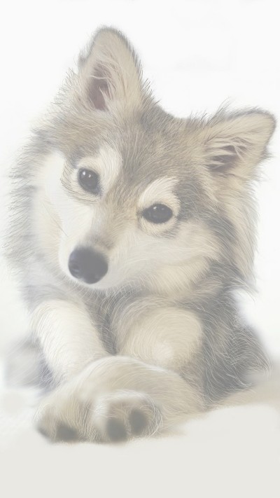 Baby wolf~ | JinhoLee | Digital Drawing | PENUP
