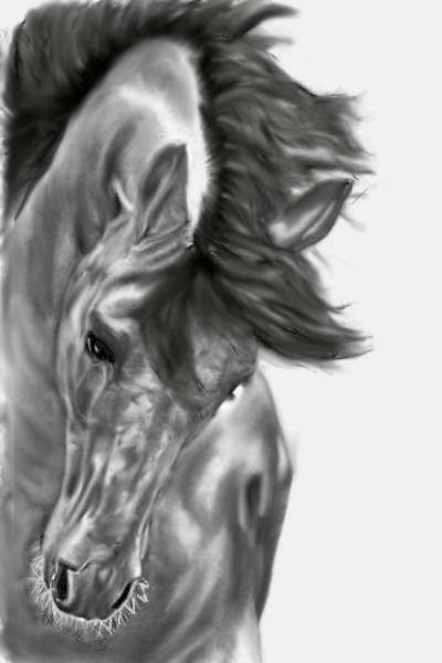 horse in pencil and rubbing  | dusty | Digital Drawing | PENUP