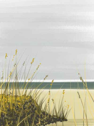 Cosby beach, Cape Cod | AntoineKhanji | Digital Drawing | PENUP