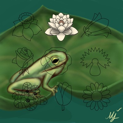 Frog &Lotus  | mjalkan | Digital Drawing | PENUP