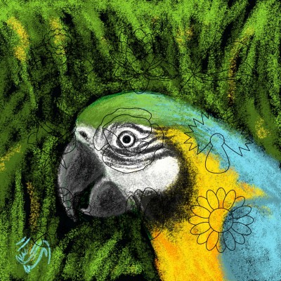 Parrot | sitaArt | Digital Drawing | PENUP