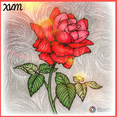 Beautiful Rose 2 Tones | XavierViruet | Digital Drawing | PENUP
