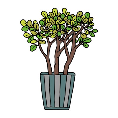 plants | ritabravo | Digital Drawing | PENUP