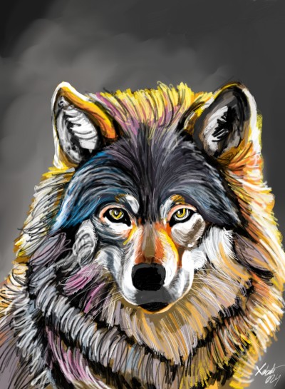 colorfull wolf | xabat | Digital Drawing | PENUP