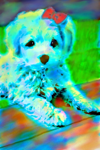 little blue puppy | Zenovia | Digital Drawing | PENUP