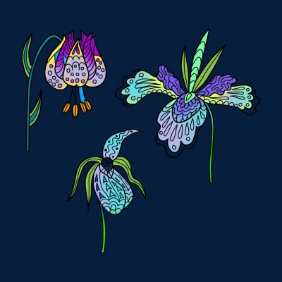Orchidées | richard | Digital Drawing | PENUP