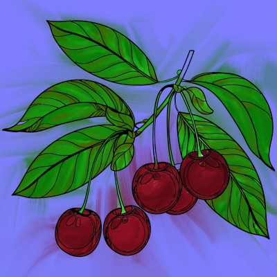 Cherry Season | Burrgump | Digital Drawing | PENUP