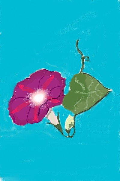flower | Anevans2 | Digital Drawing | PENUP