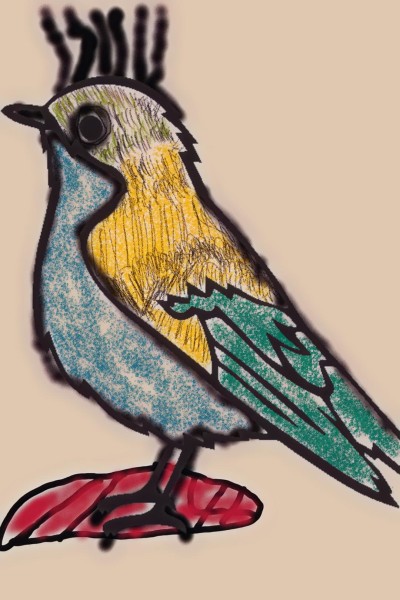 Ohio state bird, the Dougie  | jimmyvee | Digital Drawing | PENUP