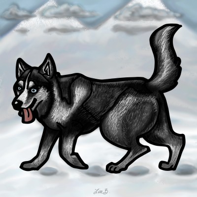 Siberian Husky | LisaBme | Digital Drawing | PENUP