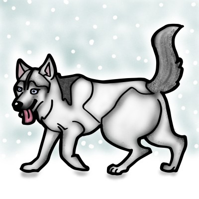 Wolf | JammyC | Digital Drawing | PENUP