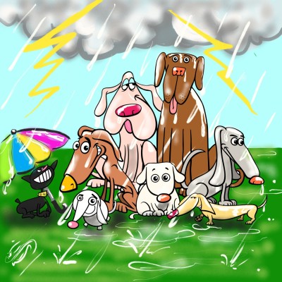 rainy!!! | sitaArt | Digital Drawing | PENUP