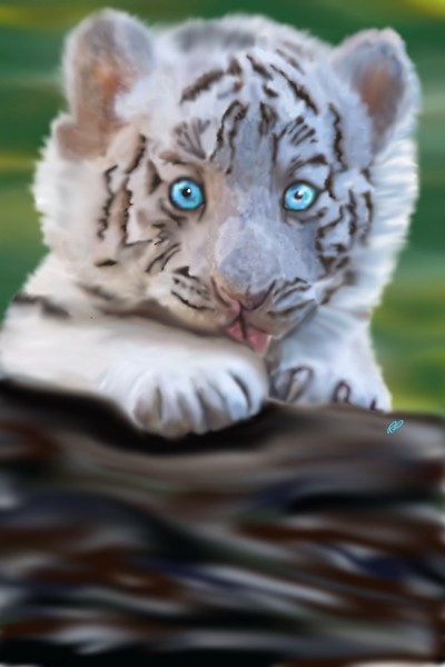 White tiger cub | Rebecca | Digital Drawing | PENUP