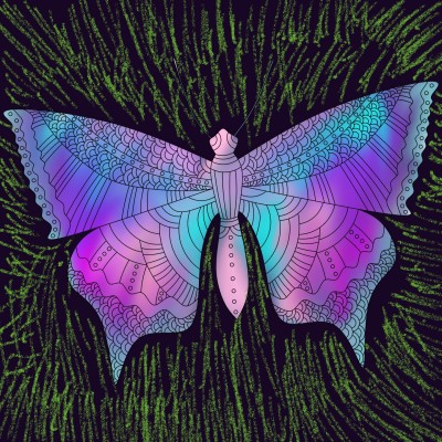 butterfly | LadyCochlear | Digital Drawing | PENUP