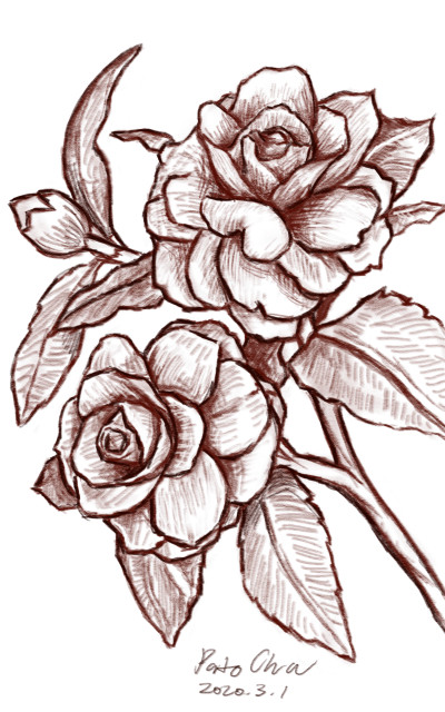 Camellia (동백) | Pato.Cha | Digital Drawing | PENUP