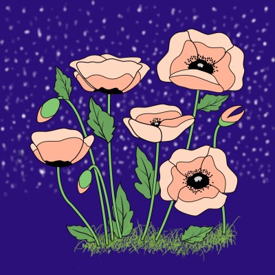 Poppies  | Trish | Digital Drawing | PENUP