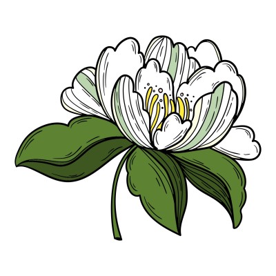 Southern Magnolia  | Trish | Digital Drawing | PENUP