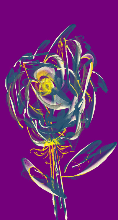 Rose | richard | Digital Drawing | PENUP