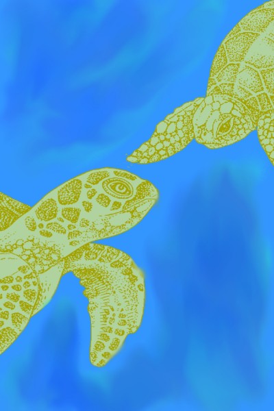 turtle finds it mom | sunflower1994 | Digital Drawing | PENUP