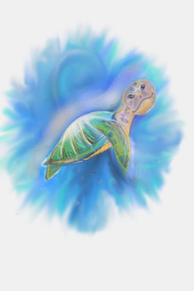 sea turtle | NinaSz | Digital Drawing | PENUP