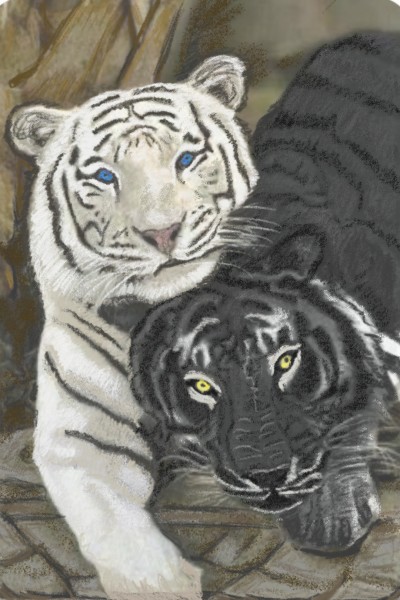 viceveras/original photo  on tigers quest. | dusty | Digital Drawing | PENUP