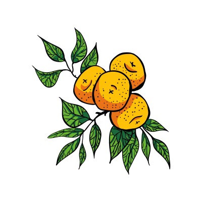 laranjeira | ikarobreny | Digital Drawing | PENUP