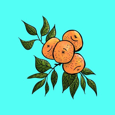 fruit | ananews | Digital Drawing | PENUP