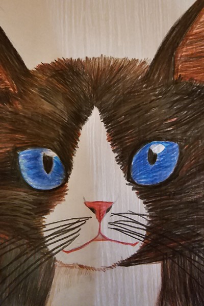 cat | cat | Digital Drawing | PENUP