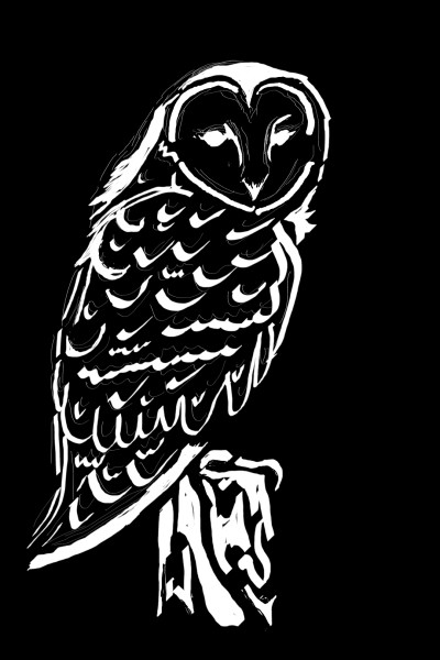 owl art ordinal drawing  | rissa | Digital Drawing | PENUP
