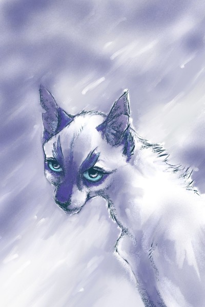 Senior kitty quick sketch | Samurai | Digital Drawing | PENUP