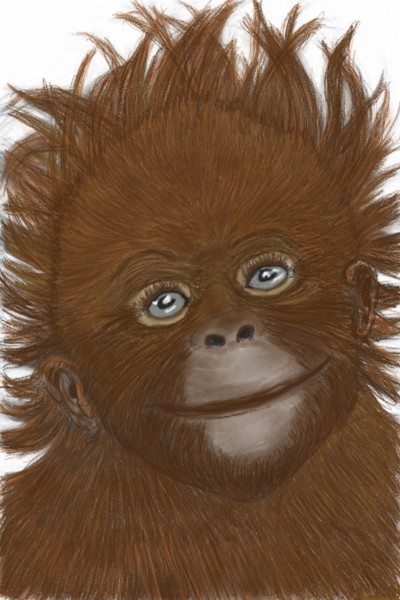baby orangutan  | dusty | Digital Drawing | PENUP