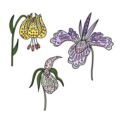 Flowers | Trish | Digital Drawing | PENUP