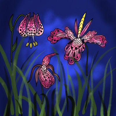 난초..
orchid.. | mjyoo | Digital Drawing | PENUP