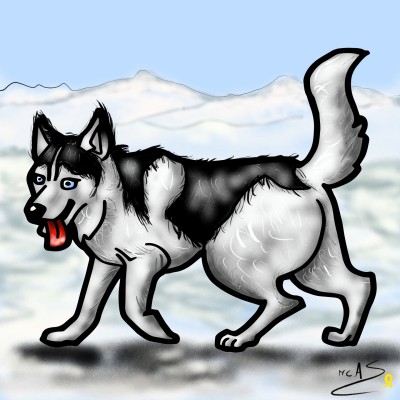 Husky siberià  | Carme | Digital Drawing | PENUP