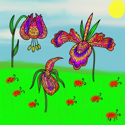 ladybugs on a prairie | missT | Digital Drawing | PENUP