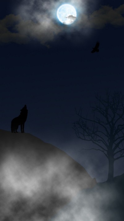 night wolf  | Alex_Raven | Digital Drawing | PENUP