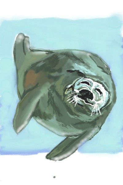 attempting a seal | Anevans2 | Digital Drawing | PENUP