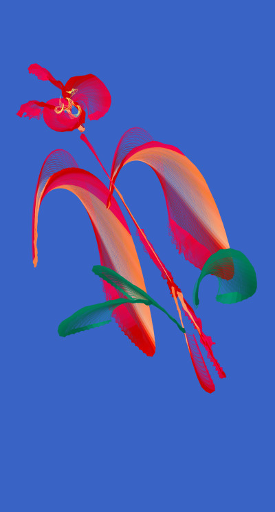 Fleur  | richard | Digital Drawing | PENUP