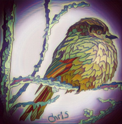 Sparrow | Chrissy | Digital Drawing | PENUP