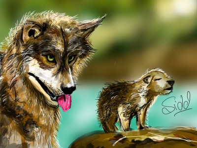 Wolf with Mother | sidd | Digital Drawing | PENUP