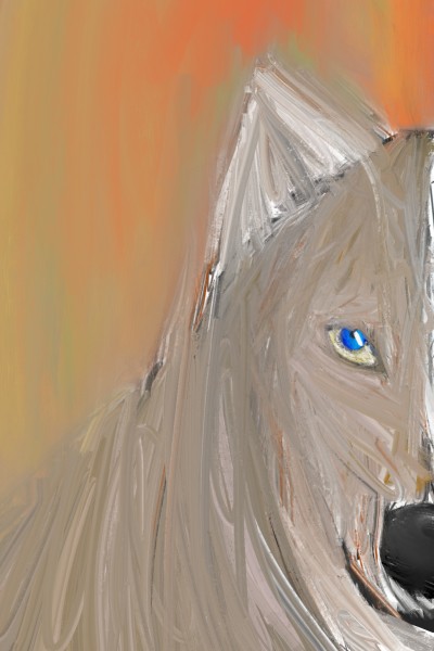 LITTLE WOLF | LoreArt | Digital Drawing | PENUP