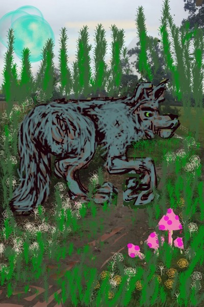 Wolf in woods | shell | Digital Drawing | PENUP