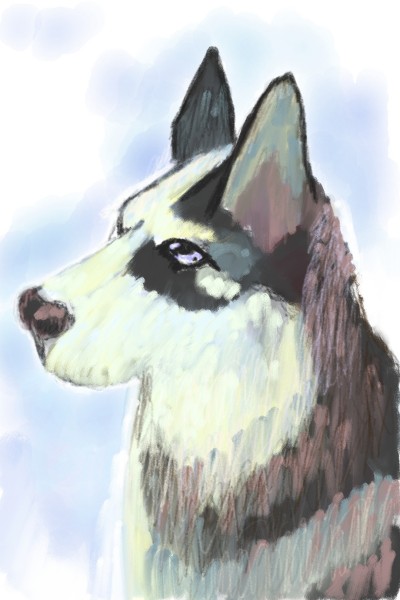 Wolf  | Magdalena | Digital Drawing | PENUP