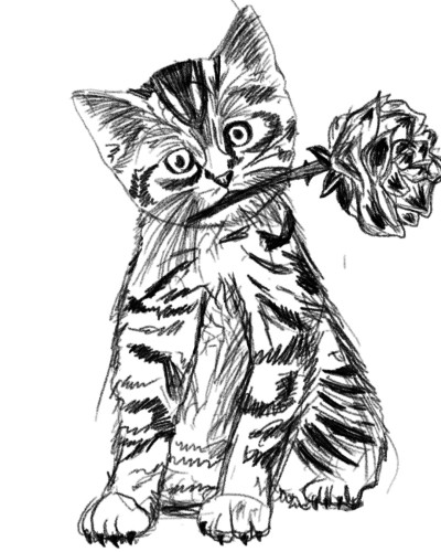 A cat's gift | Naruto | Digital Drawing | PENUP