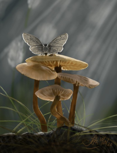 Mushrooms  | Kuas | Digital Drawing | PENUP