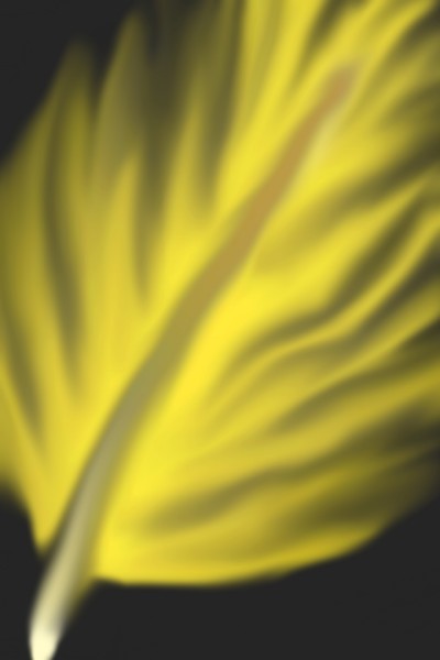 yellow | susmi | Digital Drawing | PENUP