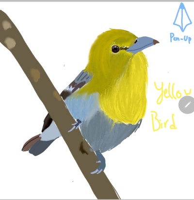 yellow bird | DaEun | Digital Drawing | PENUP