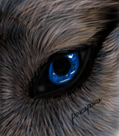 Wolf's eye. My love  | pokapoka | Digital Drawing | PENUP
